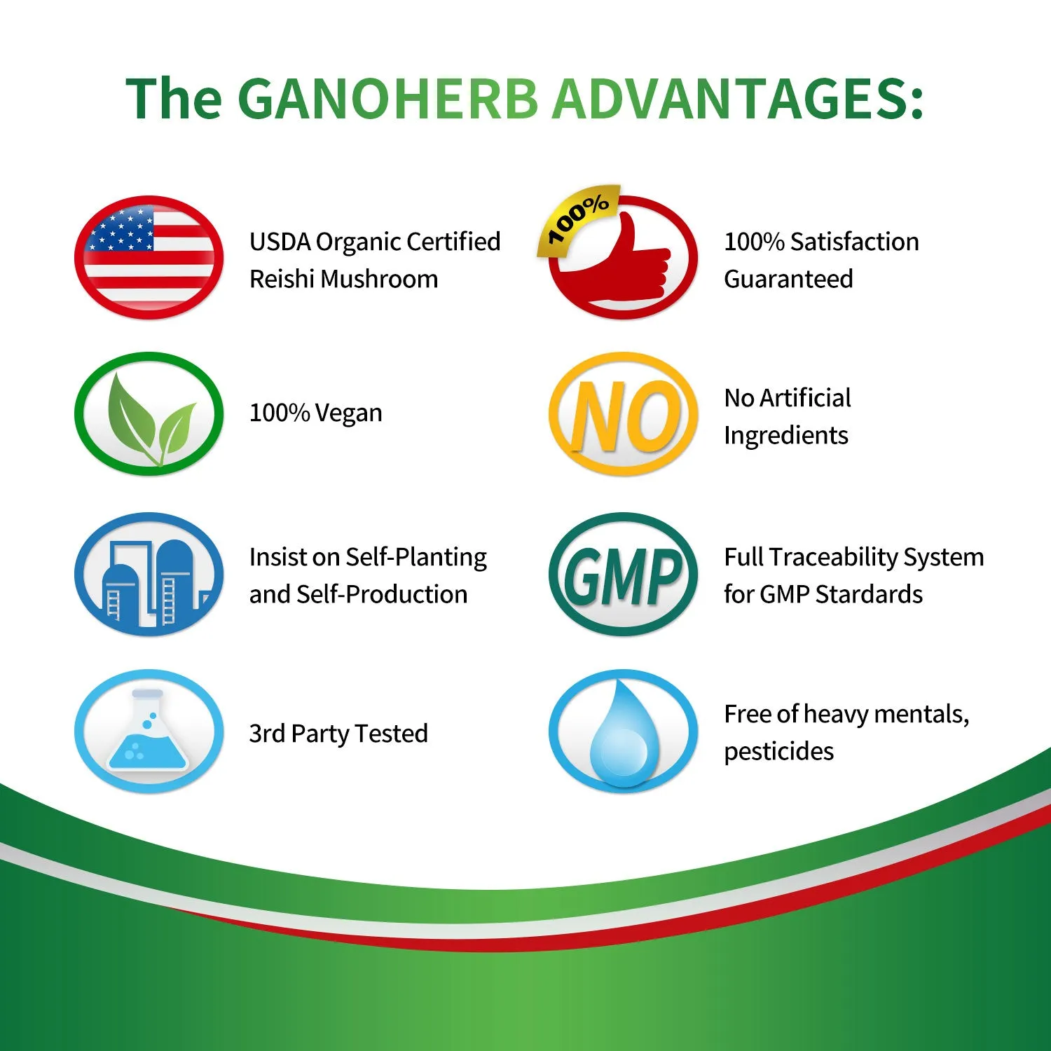 Organic Reishi Mushroom Green Tea Bags - Ganoderma Teaf
