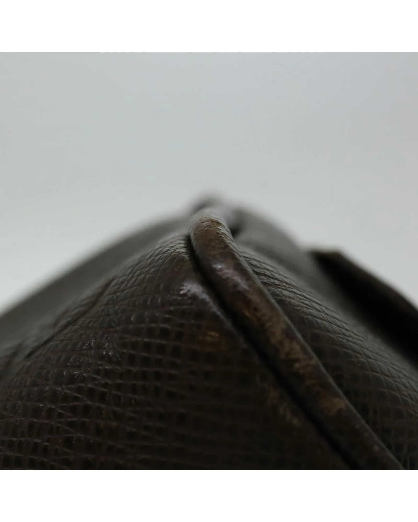 Sleek Taiga Grizzly Clutch Bag - Authentic LV