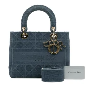 Trendy Inspired Dior Lady D-lite Medium Blue